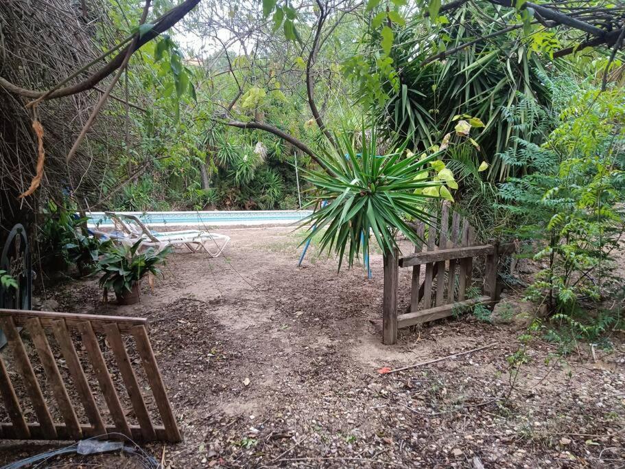 Casa Rural En El Campo Con Animales, Piscina Y Barbacoa Almodóvar del Río Exteriör bild