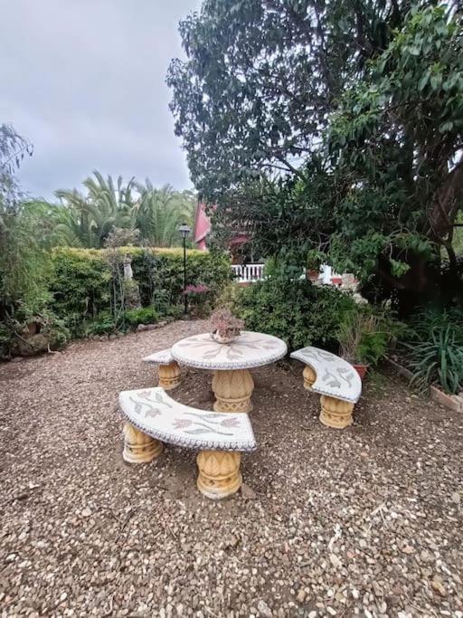 Casa Rural En El Campo Con Animales, Piscina Y Barbacoa Almodóvar del Río Exteriör bild
