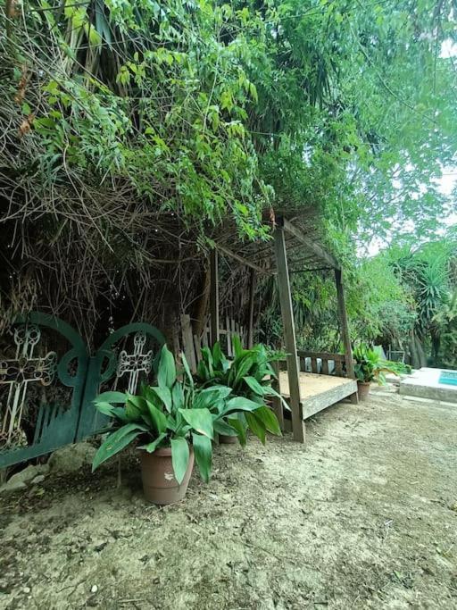 Casa Rural En El Campo Con Animales, Piscina Y Barbacoa Almodóvar del Río Exteriör bild