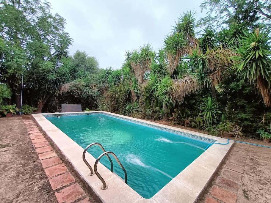 Casa Rural En El Campo Con Animales, Piscina Y Barbacoa Almodóvar del Río Exteriör bild
