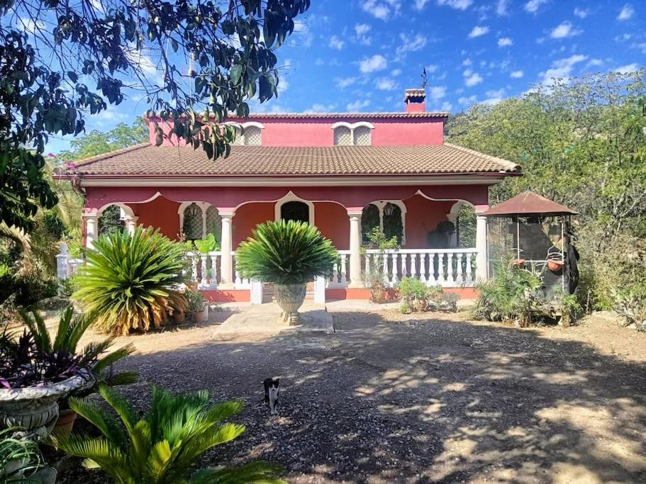 Casa Rural En El Campo Con Animales, Piscina Y Barbacoa Almodóvar del Río Exteriör bild