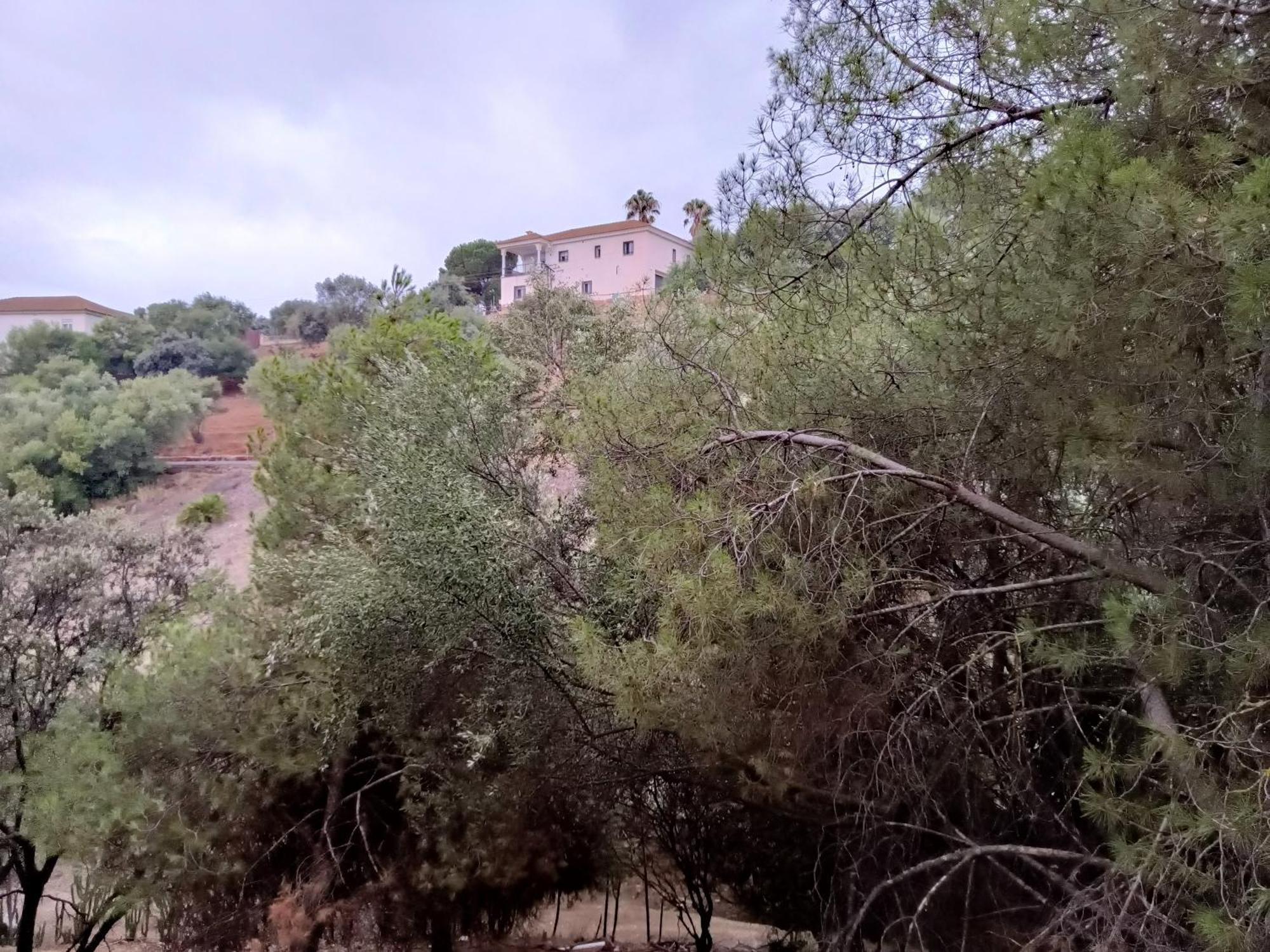 Casa Rural En El Campo Con Animales, Piscina Y Barbacoa Almodóvar del Río Exteriör bild