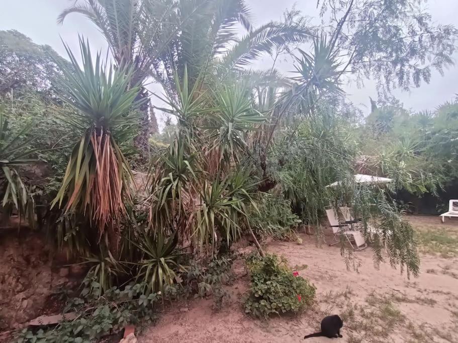 Casa Rural En El Campo Con Animales, Piscina Y Barbacoa Almodóvar del Río Exteriör bild