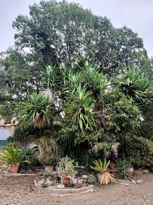 Casa Rural En El Campo Con Animales, Piscina Y Barbacoa Almodóvar del Río Exteriör bild