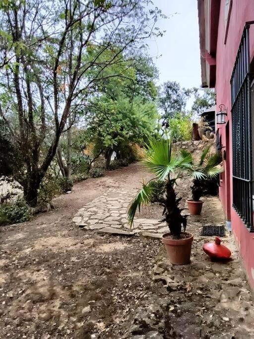 Casa Rural En El Campo Con Animales, Piscina Y Barbacoa Almodóvar del Río Exteriör bild