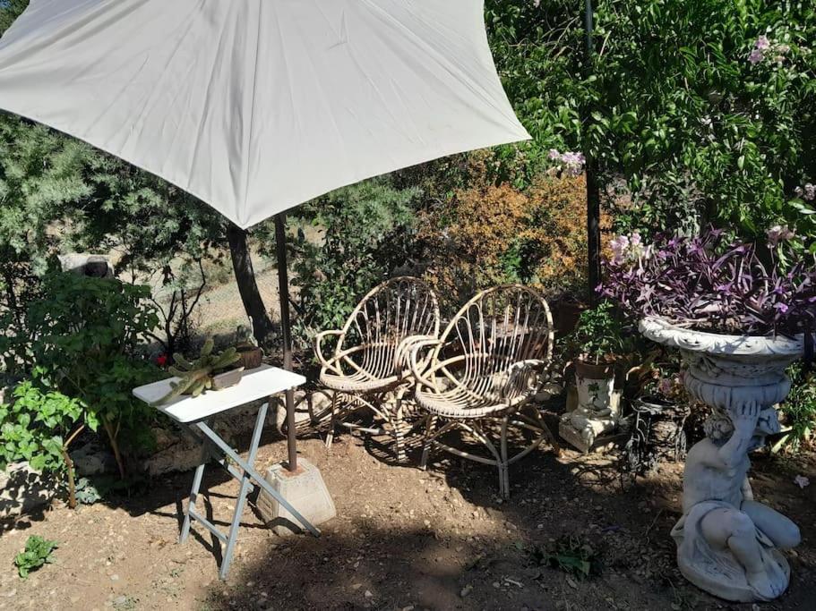 Casa Rural En El Campo Con Animales, Piscina Y Barbacoa Almodóvar del Río Exteriör bild